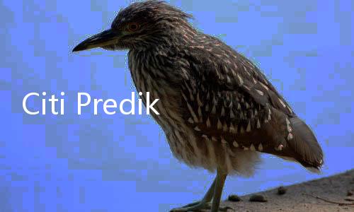 Citi Prediksi Ekonomi RI 2025 Melambat ke 4,7 Persen, Ini Sebabnya!